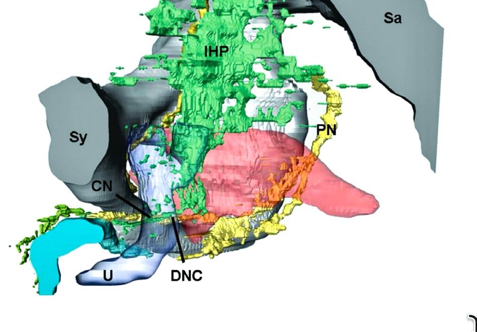 A close-up of a map Description automatically generated
